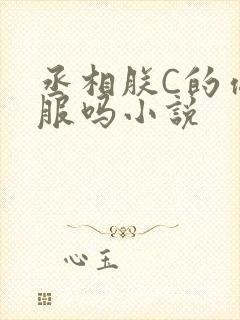 丞相朕C的你舒服吗小说