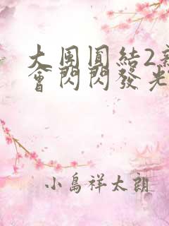 大团圆结2亲情会闪闪发光亲情会2