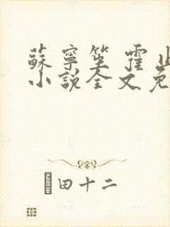 苏宁笙 霍止行小说全文免费阅读