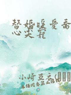 替婚暖爱乔少的心尖宠