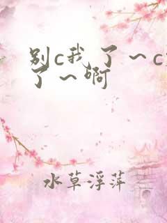 别c我了~c烂了~啊