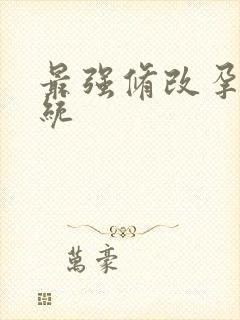 最强修改孕妇系统