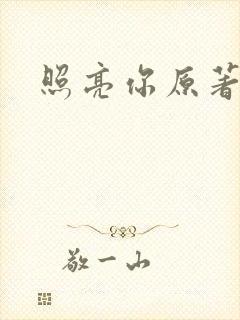 照亮你原著小说