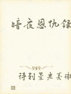 暗夜恩仇录