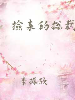 捡来的总裁儿子