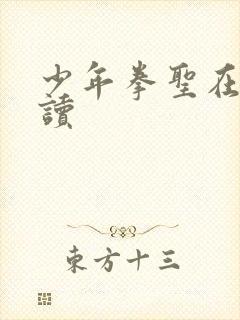 少年拳圣在线阅读