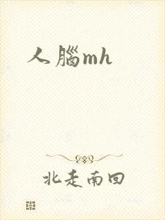 人脑mh