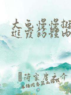 大龟慢慢挺进王进霞的体内