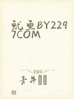 鱿鱼BY2297COM