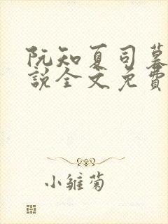 阮知夏司暮寒小说全文免费