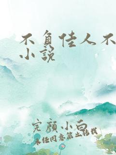 不负佳人不负卿小说