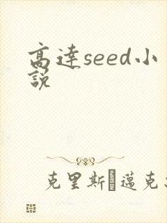 高达seed小说