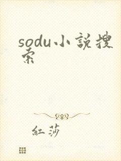 sodu小说搜索