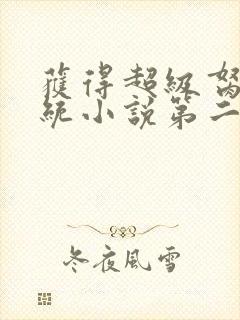 获得超级胬肉系统小说第二部