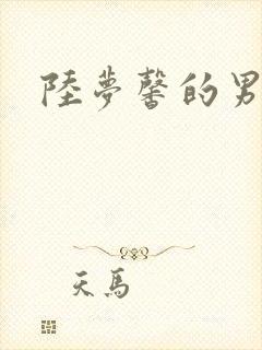 陆梦馨的男朋友