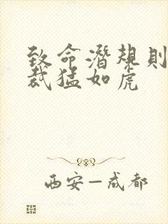 致命潜规则 总裁猛如虎