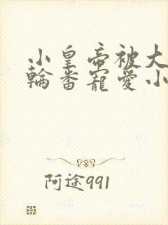 小皇帝被大臣们轮番宠爱小说