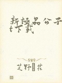 新极品公子txt下载