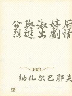 公与淑婷厨房猛烈进出剧情介绍