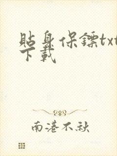 贴身保镖txt下载