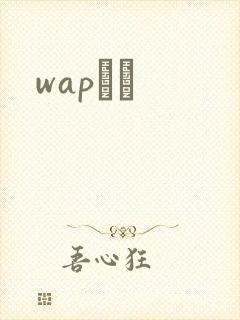 wapС˵