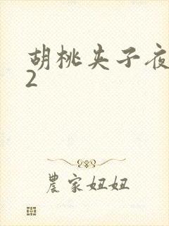 胡桃夹子夜未眠2