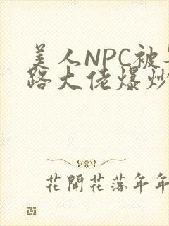 美人NPC被各路大佬爆炒小说