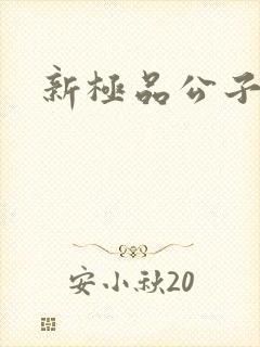新极品公子