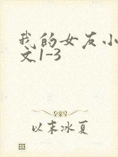 我的女友小洁全文1-3
