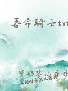 吾命骑士txt