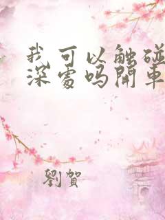 我可以触碰你的深处吗开车作文