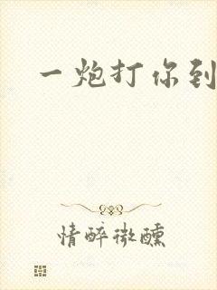 一炮打你到天亮