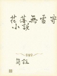 花落无处寄相思 小说