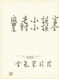 恋老小说言情网农村小说全文阅读