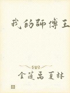 我的师傅王语嫣