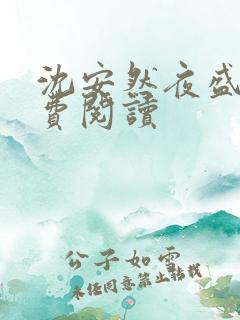 沈安然夜盛霆免费阅读