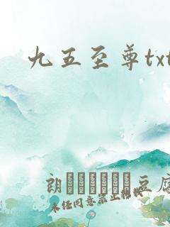 九五至尊txt
