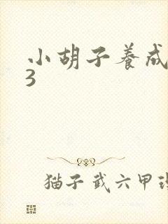 小胡子养成计划3