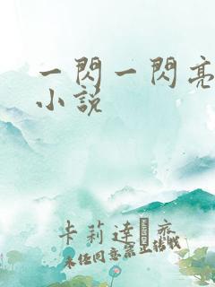 一闪一闪亮星星小说