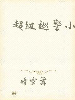 超级巡警小说