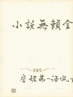小说无赖金仙