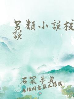 另类小说校园小说