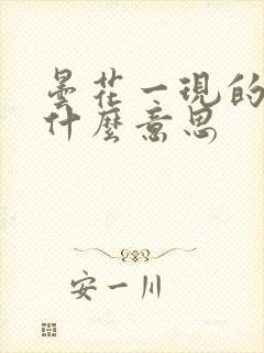 昙花一现的现是什么意思