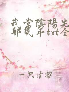 我当阴阳先生的那几年txt全集下载