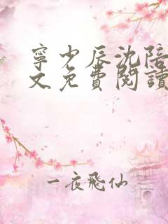 宁少辰沈陪一全文免费阅读无弹窗