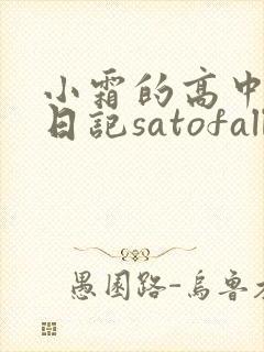 小霜的高中成长日记satofall