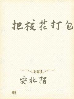 把校花打包带走