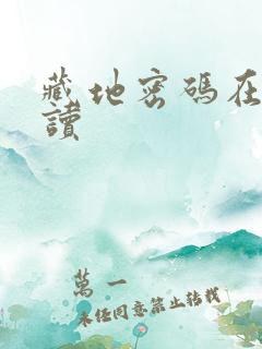 藏地密码在线阅读