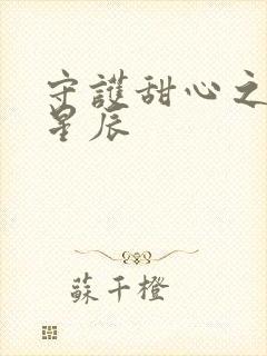 守护甜心之暗夜星辰