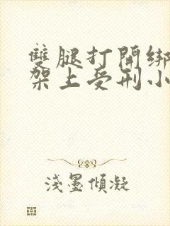 双腿打开绑在刑架上受刑小说